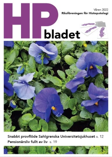HP Bladet