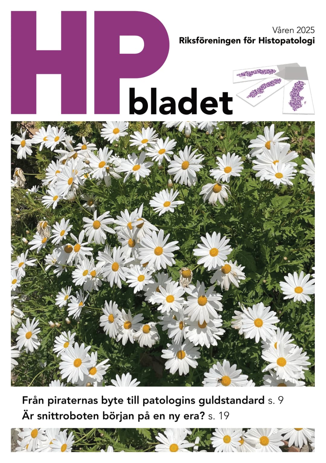 Från piraternas byte till patologins guldstandard